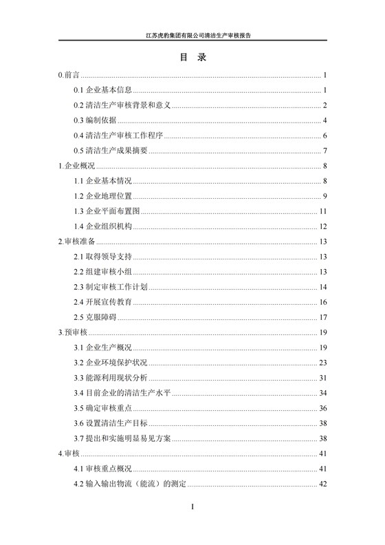 2.1、清洁生产审核报告_02