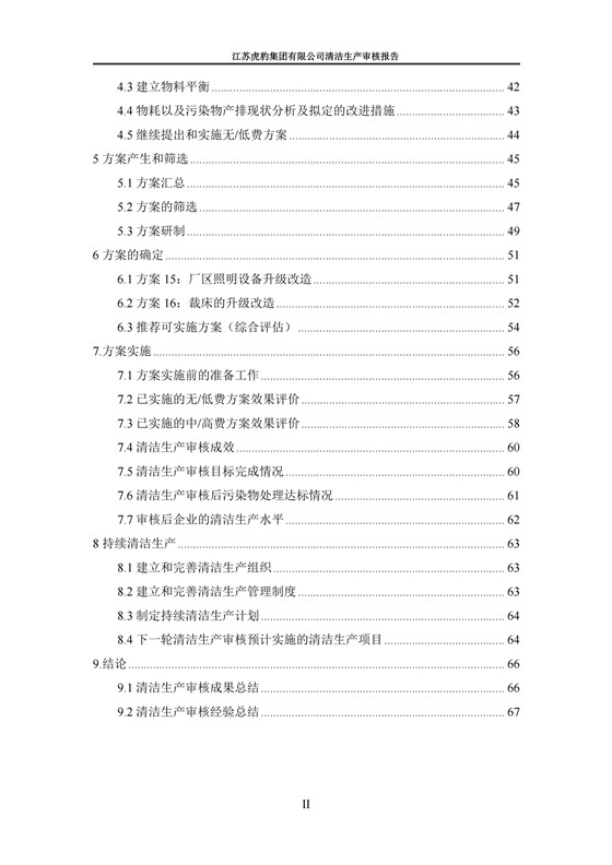 2.1、清洁生产审核报告_03