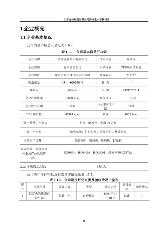 2.1、清洁生产审核报告_11