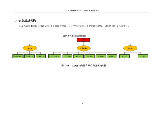 2.1、清洁生产审核报告_15